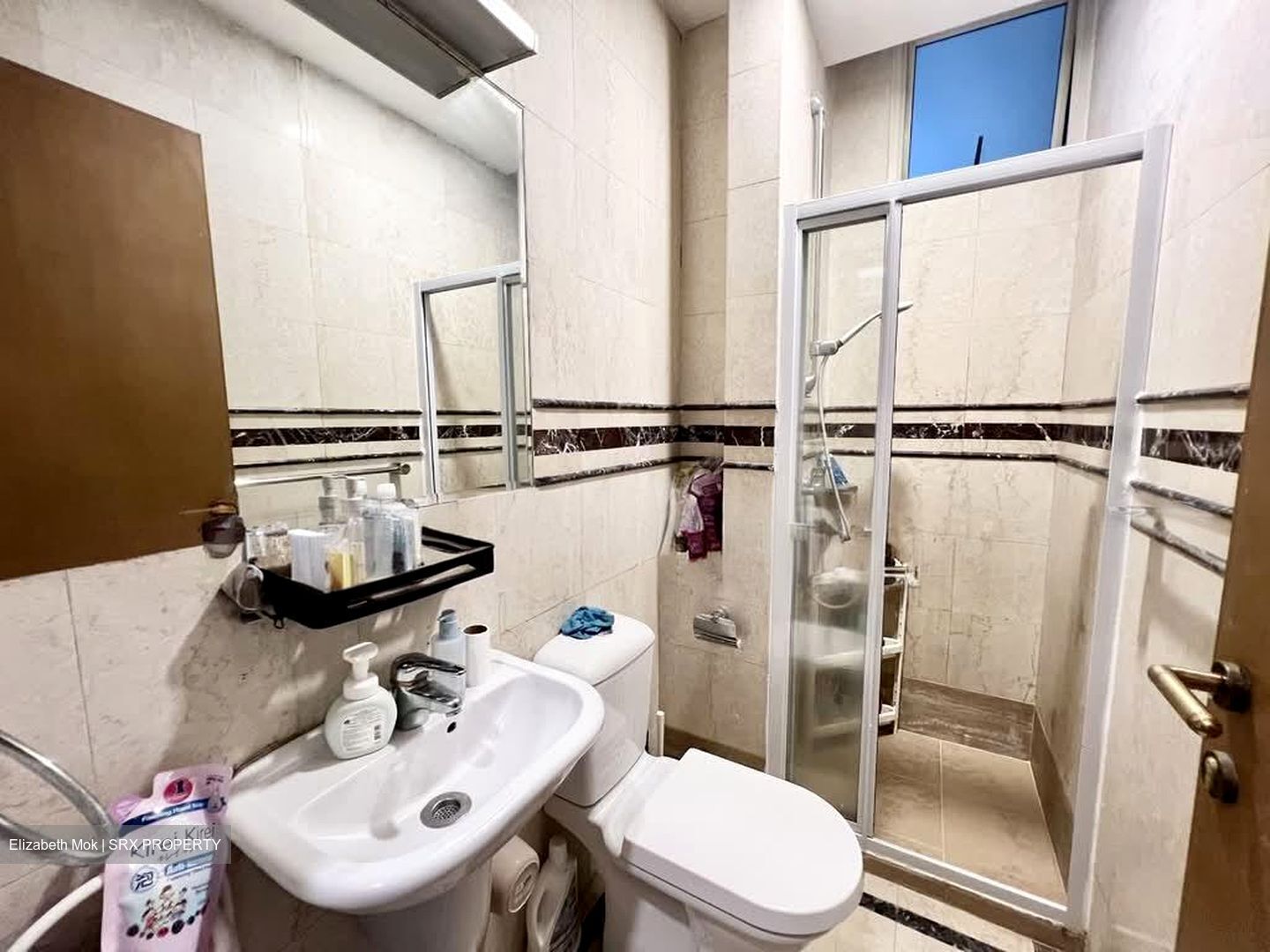 Harvest Mansions (D3), Apartment #540769721